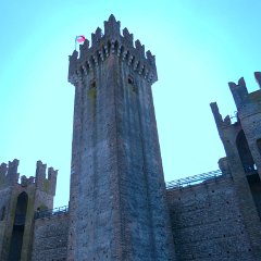 P1190252   Vedi locandina e Google.